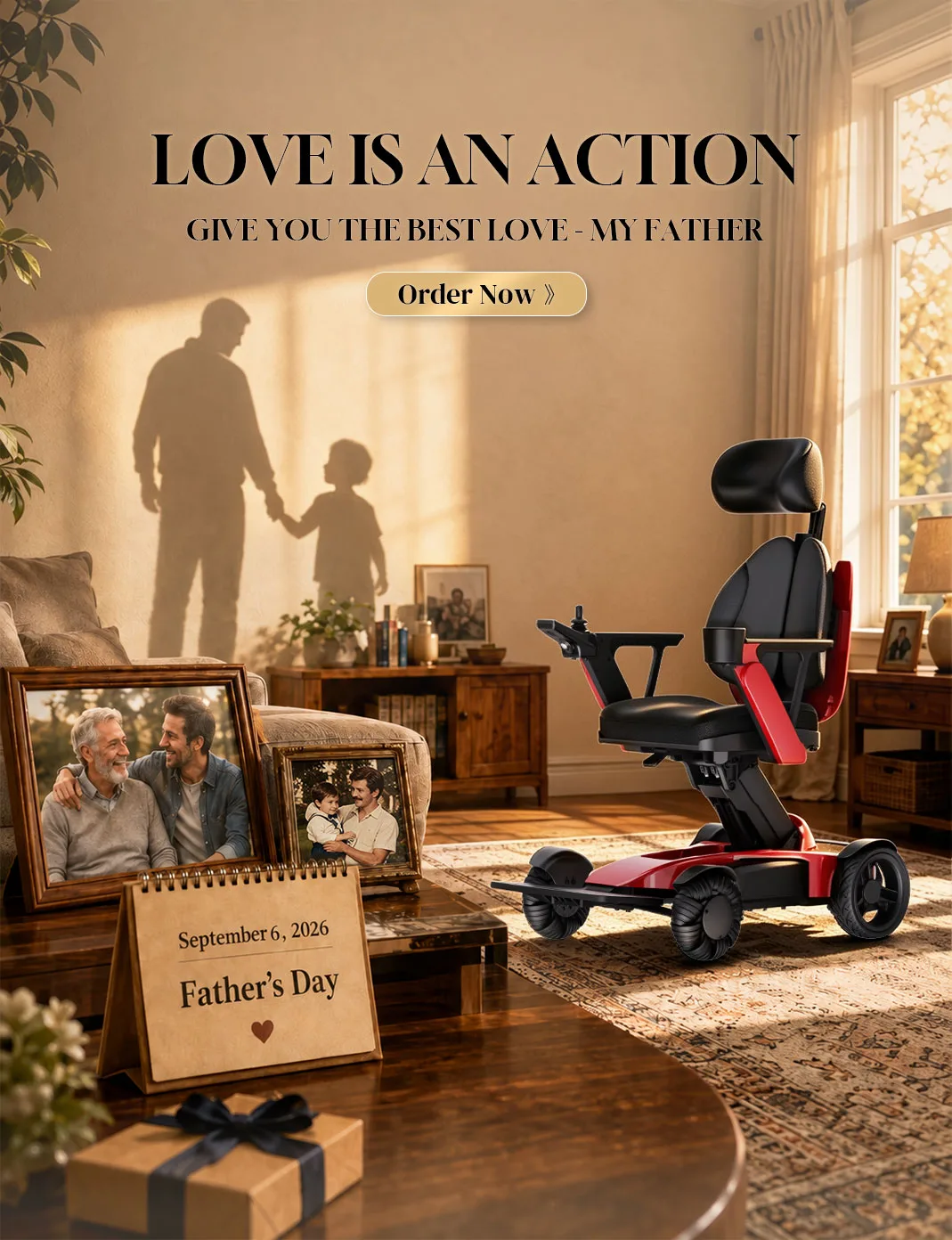 Illustrative image for Electric Wheelchairs